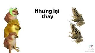 bọn trẻ ném đá vào lũ ếch=))