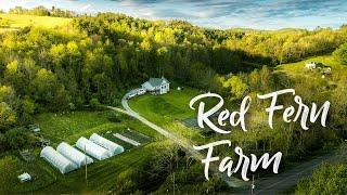 AMAZING Micro-Farm in the Blue Ridge Mountains!