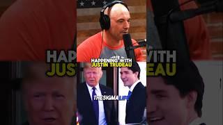 Rogan on Trump Going Off on Justin Trudeau