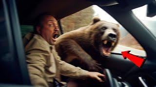 Он Не Должен Был Выходить из Машины… Жуткие Кадры с Медведями Снятые на Камеру!