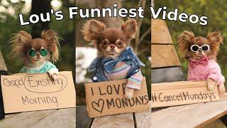 FUNNIEST Cancel Monday Videos 