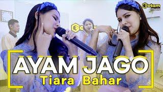 AYAM JAGO - TIARA BAHAR ( OFFICIAL LIVE MUSIC COVER )