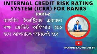 Internal Credit Risk Rating System (ICRR) For Banks Part 2