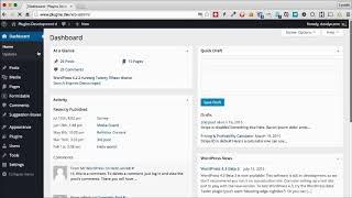 Tutorial Wordpress feedback plugin   How to