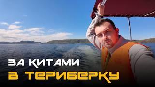 А погнали в Териберку? Киты, полярный день и 35-сантиметровые эклеры в Мурманске