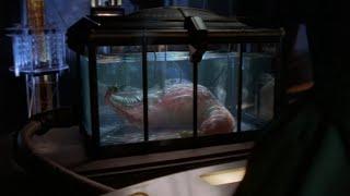 Stargate SG-1 - Season 7 - Evolution: Part 2 - Copycat Anubis / Daniel takes the initiative