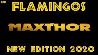 Maxthor - Flamingos (New Edition 2020) DBR
