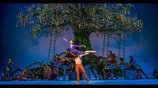 An Introduction to The Royal Ballet's The Winter's Tale 2024