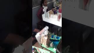 science project works #subscribe #sanjana #shortvideo