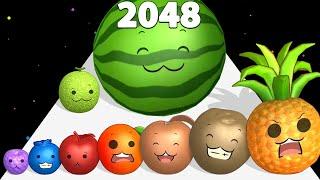 WATERMELON RUN 3D - Ball Run 2048: Fruit Merge (ASMR Gameplay) Watermelon Game, Max Level!