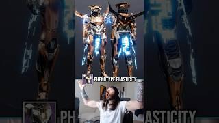 BEST And WORST Titan Armor! (Part 2) - Destiny 2 Fashion #destiny2 #shorts