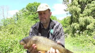 Micks Carp Fishing Blog 13