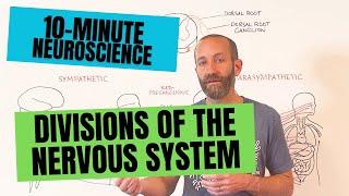 10-Minute Neuroscience: Divisions of the Nervous System