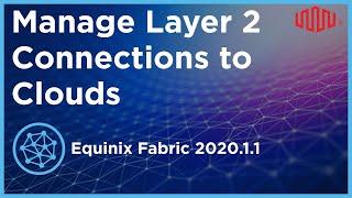 Permissions to Manage Layer 2 Connections to Clouds – Equinix Fabric 2020.1.1