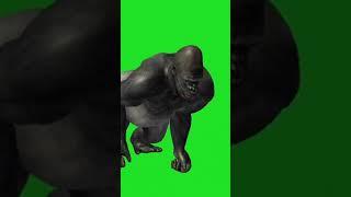 Green screen animal move animation for cartoon video.