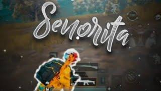 SENORITA SHAWN MENDES PUBG MONTAGE