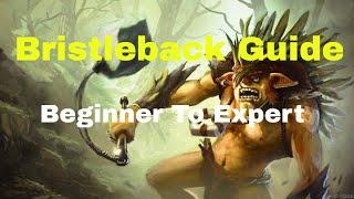 Bristleback Immortal Guide - Beginner to Expert Level - Dota 2