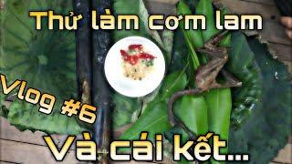 Thử làm cơm lam và cái kết || Vlog #6