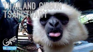 Thailand Gibbon Sanctuary