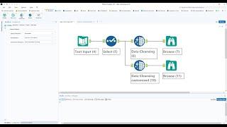 Customize the Data Cleansing Tool