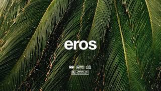 (FREE) | "Eros" | B Young x Tems x Tiwa Savage Type Beat | Free Beat | Afrobeat Instrumental 2024