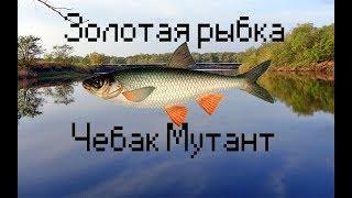 Русская рыбалка 3: Норвегия - Чебак мутант