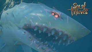 Hunting the RAREST Megalodon in Sea of Thieves