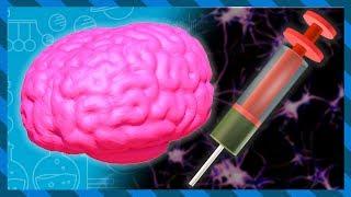 What does Heroin do to your brain and body? | Earth Science