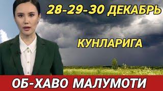 28-29-30 ДЕКАБРЬ КУНЛАРИ УЧУН ОБ ХАВО МАЛУМОТИ, ob havo.