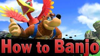 Smash Ultimate: How to Banjo & Kazooie