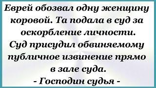 Еврей обозвал одну женщину коровой. Сборник Смешных, Свежих Анекдотов! Юмор! 689