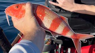 Hawaii Bottom Fishing | Catch and Cook