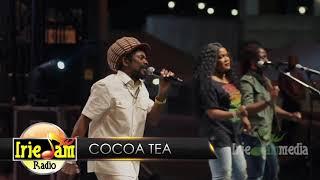 Cocoa Tea "Live" @ Reggae Under The Stars (NYC) - Labor Day Weekend 2017