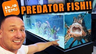 I built a saltwater predator fish tank with only TEMU aquarium products!