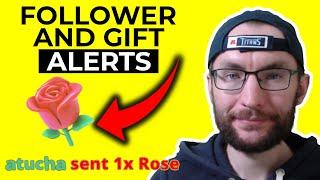 How To Get Follower and Gift Alerts On TikTok LIVE (OBS and Streamlabs setup)
