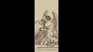 Что обязательно НУЖНО ЗНАТЬ ОБ АРКАНЕ УМЕРЕННОСТЬ. Старшие арканы Таро. Школа Елены Смит