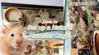How to Set up a Natural Hamster Cage - Upgrading HAMSTER's German Inspired Enclosure! 