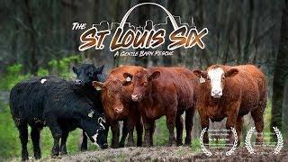 The St. Louis Six Rescue