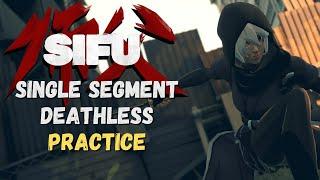 Sifu Single Segment Deathless Practice feat. Rogue Kiriko