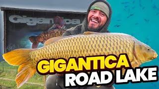 Gigantica Road Lake With Ben Parker & @CaravanCarpers | Carp Fishing Holiday