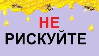 Не рискуйте скармливать пчелам в зиму центробежный мед