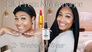 Silk Press Maintenance & Products | 2+ Weeks of Wear