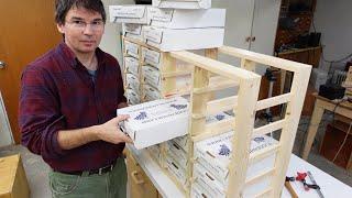 Blueberry boxes storage rack