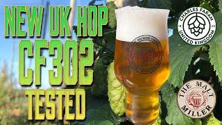 CF302 Experimental UK Hops Tested and Reviewed!