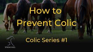 How to Prevent Colic: Colic Series #1