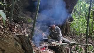 Full Video: 60 Days of Survival Alone in the Rainforest, Living & Bushwalking