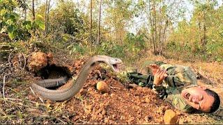 Aghast - A man paid a heavy price for catching a king cobra with his bare hands.