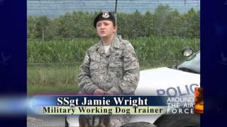 Around the Air Force: K-9 Care | MiliSource