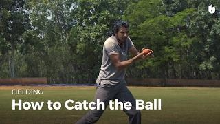 How to Catch the Ball | Cricket
