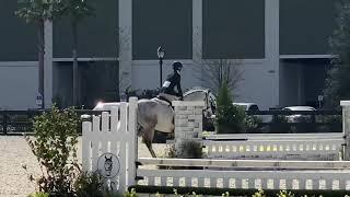 Romantic - winning trip in the NSBA 2’9” Hunters at WEC!